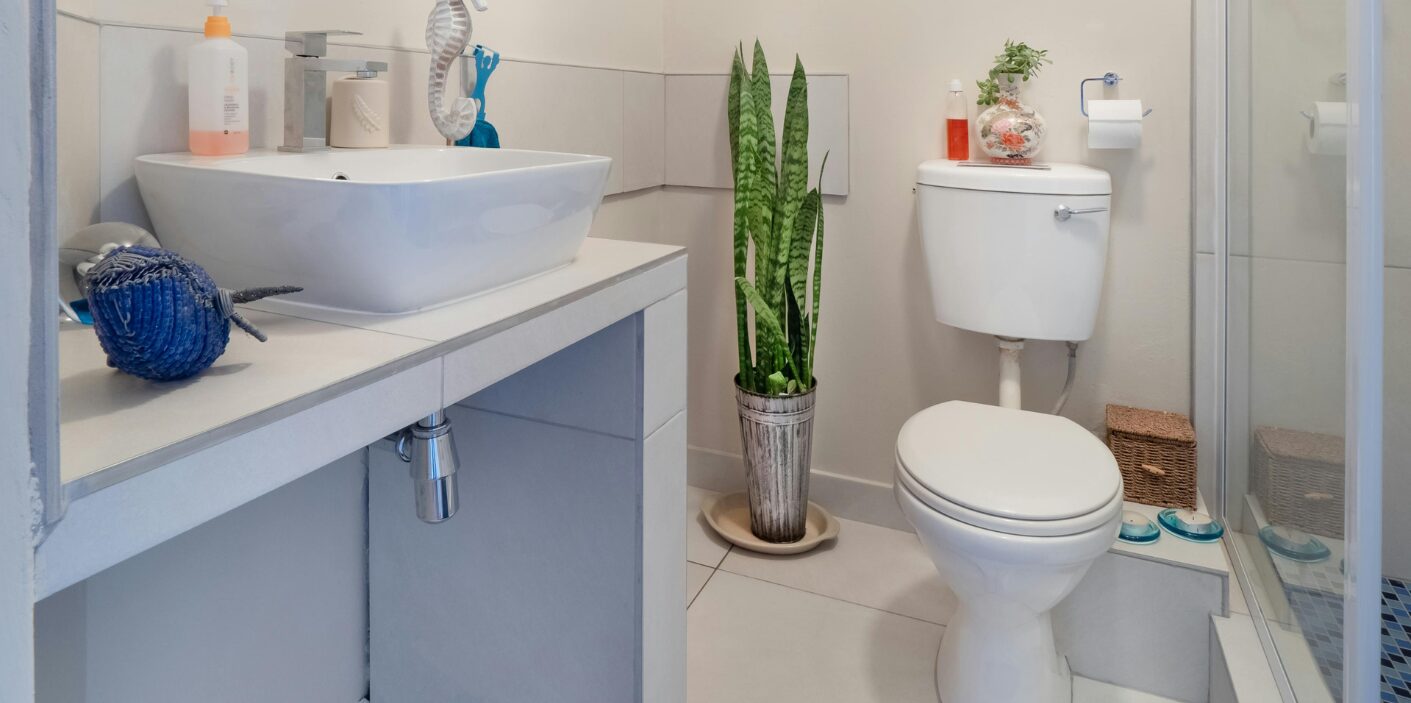 Modern bathroom with toilet, sink, and houseplant illustrating proper flushing habits