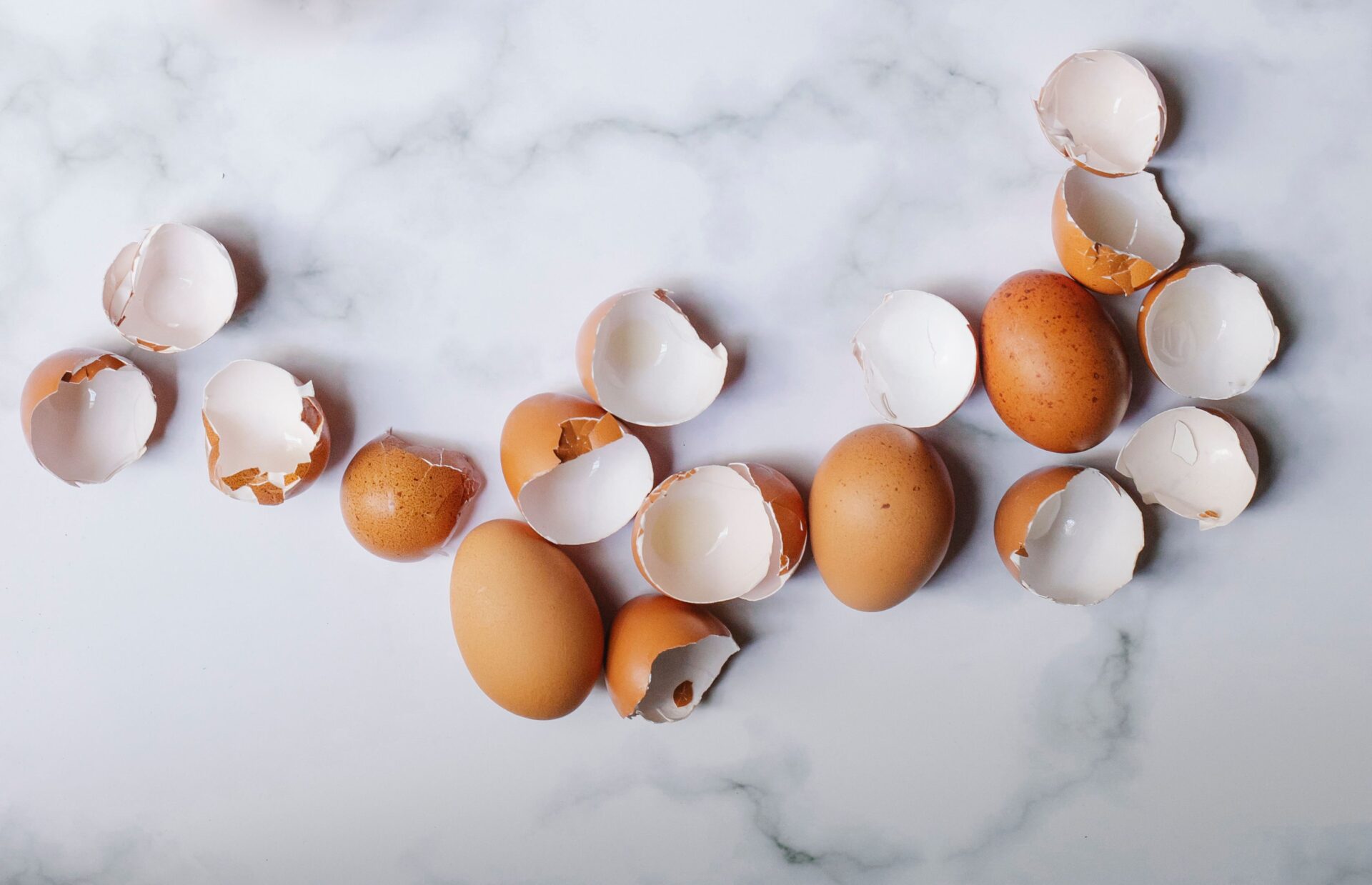 Cracked eggshells on a kitchen counter that can clog a garbage disposal