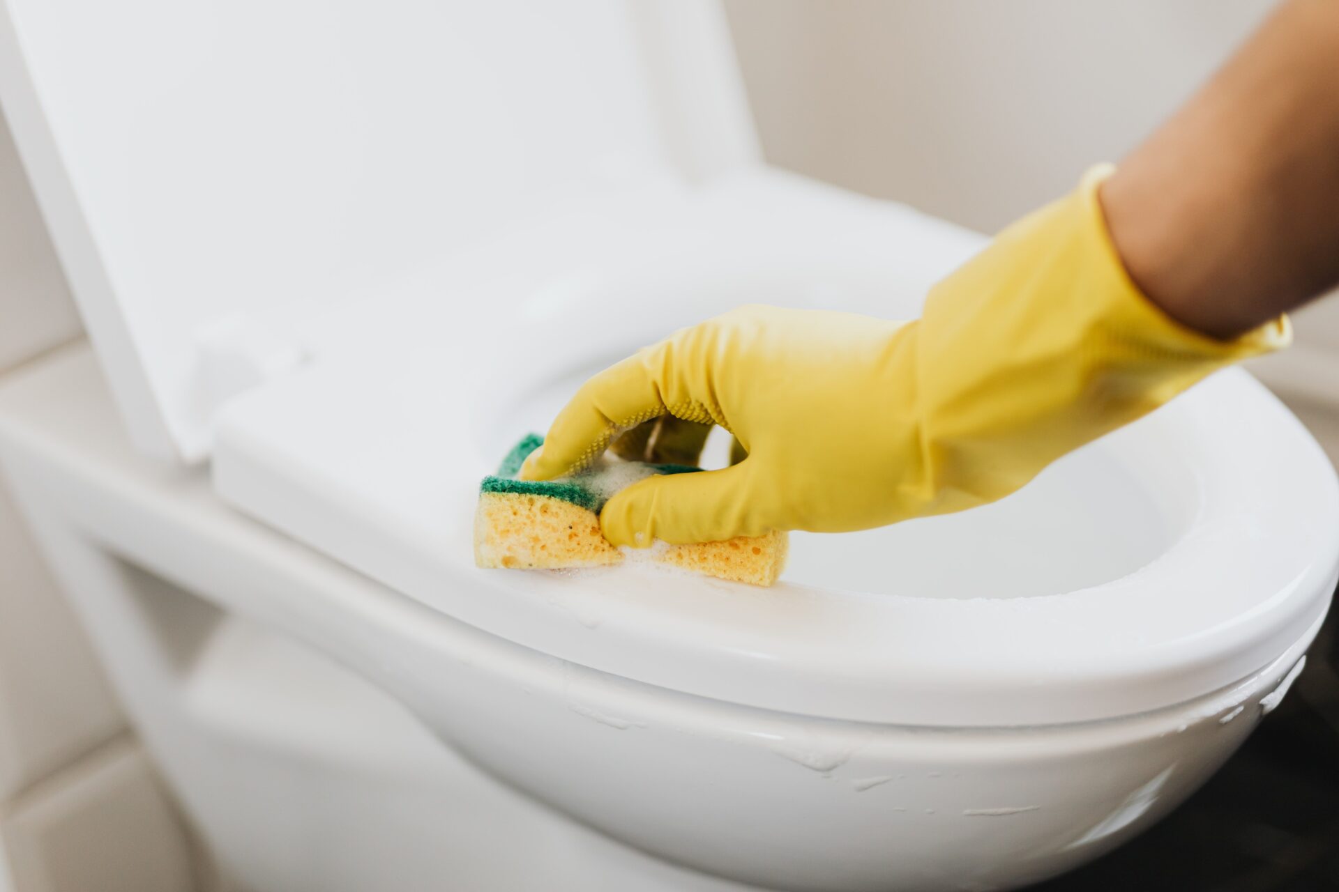 Homeowner cleaning a white toilet bowl to check for cracks and damage
