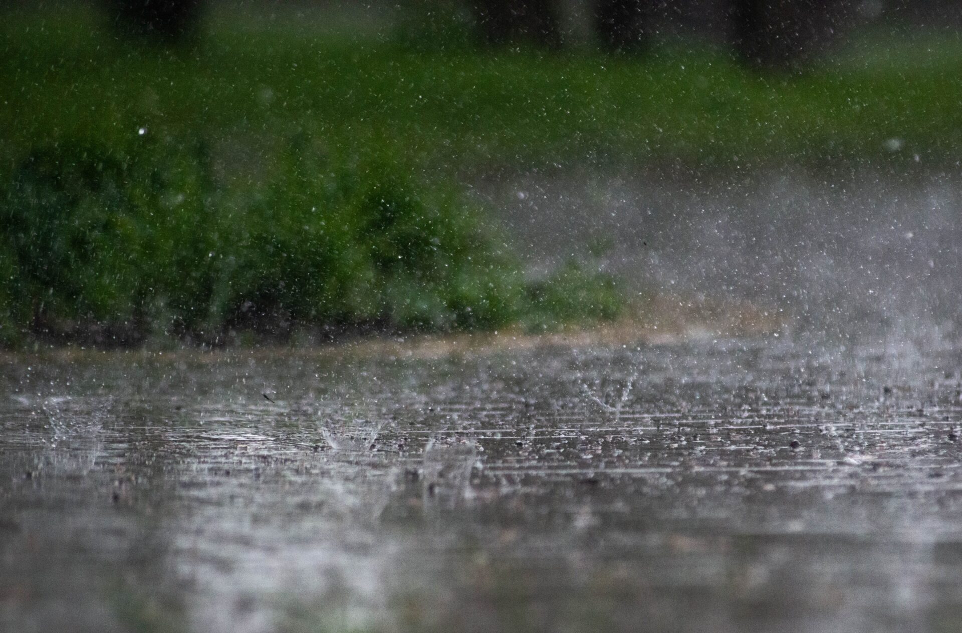Heavy rain hitting standing water on the ground during a summer storm in Knoxville Tennessee